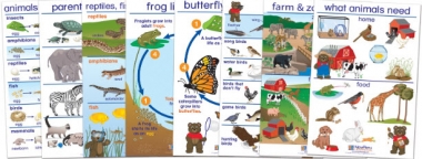 All About Animals Bulletin Board Chart Set of 8 - Early Childhood