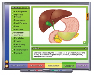 Systems of the Human Body II: Providing Fuel & Protection Multimedia Lesson - CD Version