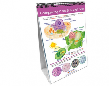 All About Cells Curriculum Mastery® Flip Chart Set