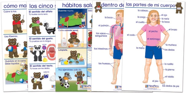  All About Me Bulletin Board Chart Set of 5 - Early Childhood Spanish Edition