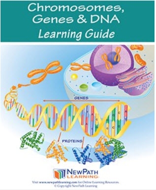  Chromosomes, Genes & DNA Student Learning Guide - Grades 6 - 10 - Downloadable eBook