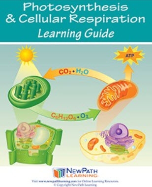  Photosynthesis & Cellular Reproduction Student Learning Guide - Grades 6 - 10 - Print Version - Set of 10