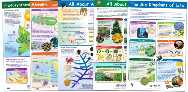  Life On Earth Poster Set of 6 - Laminated - 23" x 35"