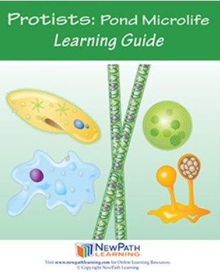  Protists: Pond Microlife Student Learning Guide - Grades 6 - 10 - Print Version - Set of 10