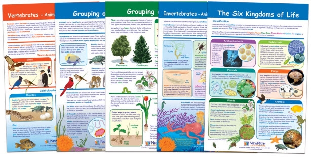  The Six-Kingdoms of Life Bulletin Board Chart Set of 5, Gr. 3-5