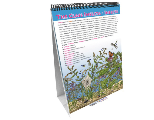 Classification of Living Things Flip Chart Set