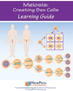  Meiosis: Creating Sex Cells Student Learning Guide - Grades 6 - 10 - Print Version - Set of 10