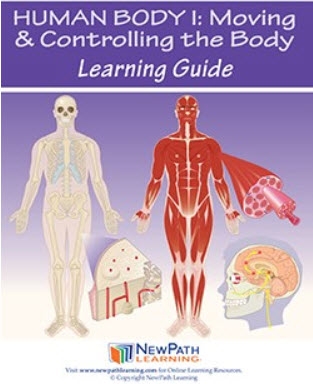  Human Body 1: Moving & Controlling the Body Student Learning Guide - Grades 6 - 10 - Print Version - Set of 10