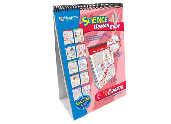 Human Body Curriculum Mastery® Flip Chart Set - Grades 6 - 10