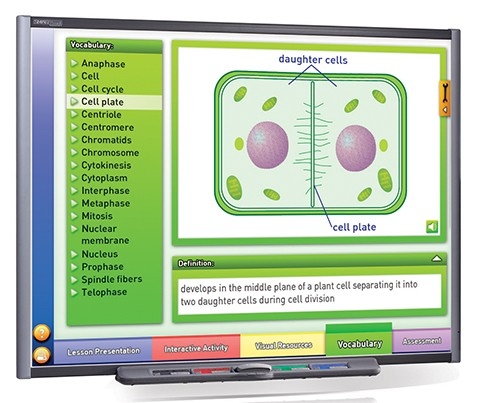  Mitosis: Cell Growth & Division Multimedia Lesson - Downloadable Version