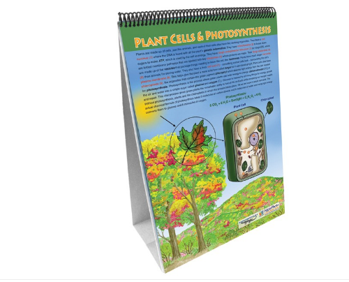 All About Plants Flip Chart Set