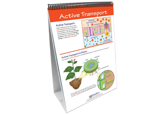 Osmosis and Diffusion Curriculum Mastery® Flip Chart Set