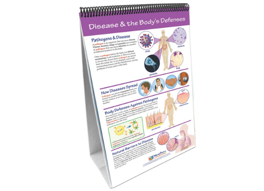 Human Body III: Maintaining Life Curriculum Mastery® Flip Chart Set