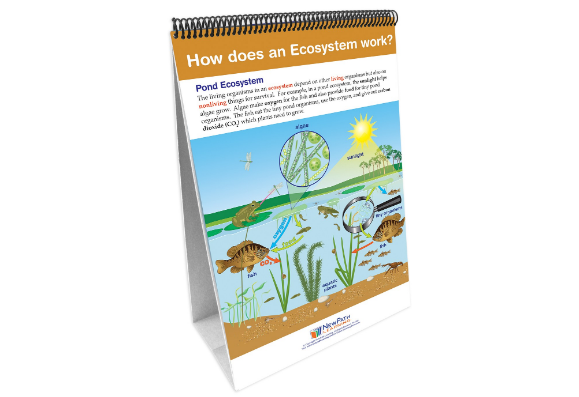 STAAR Gr. 5 – Organisms and Environments Flip Chart Set