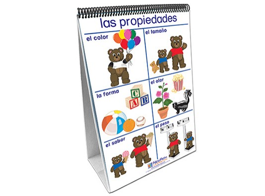 Exploring Matter Curriculum Mastery® Flip Chart Set - Early Childhood - Spanish Version