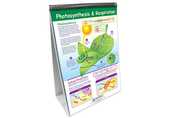 Life Science Curriculum Mastery® Flip Chart Set