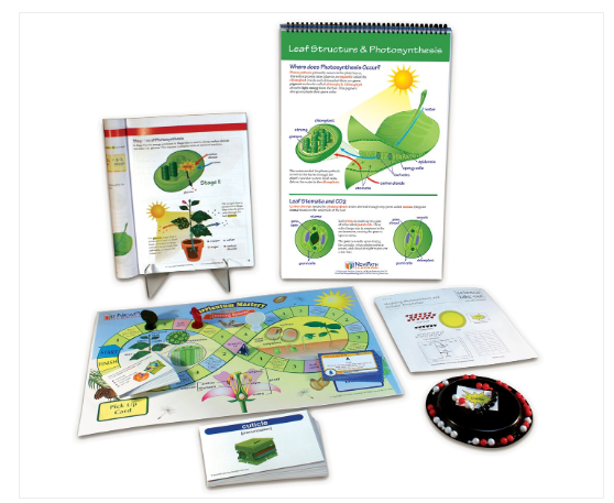 Photosynthesis and Cellular Respiration Curriculum Learning Module