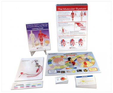 Human Body I: Moving and Controlling the Body Curriculum Learning Module