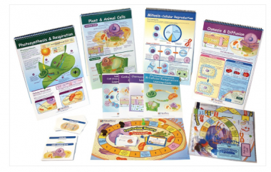 From Molecules to Organisms Skill Builder Kit