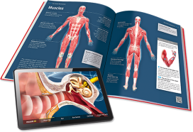 Lý do mozaBook là giải pháp toàn diện cho giáo dục hiện đại