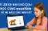 5 lợi ích khi cho con học cùng mozaWeb – bố mẹ nào cũng nên biết