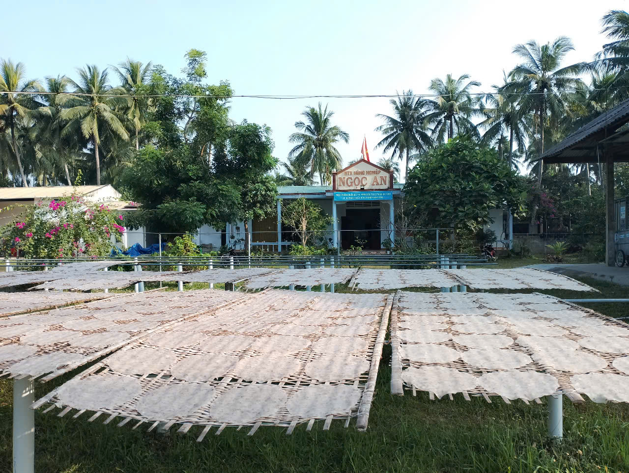 Đặc sản bánh tráng dừa Đặc sản bánh tráng dừa